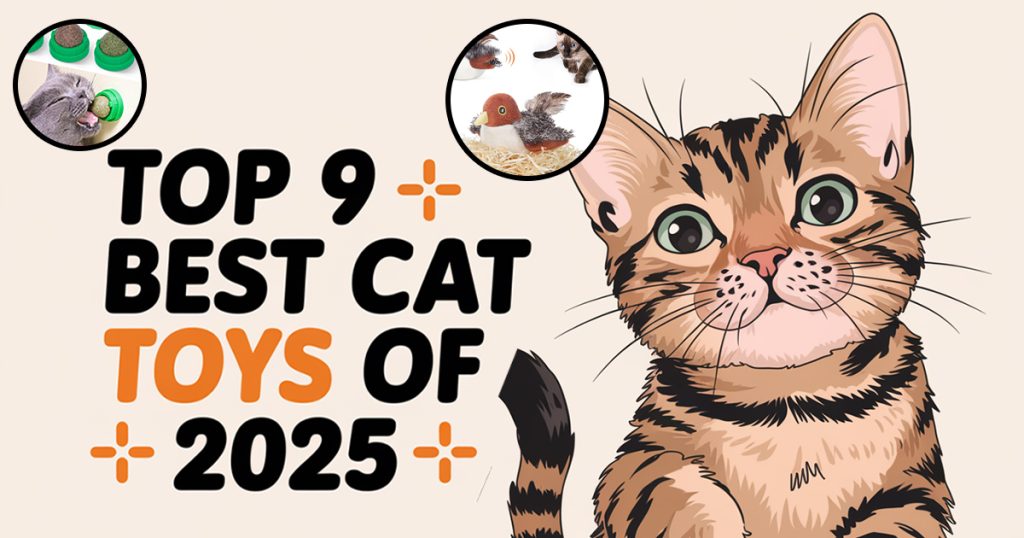 Top 9 Best Cat Toys of 2025