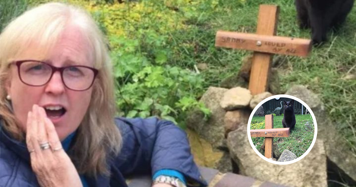 View of When Burying the Wrong Cat Leads to Unexpected Kindness